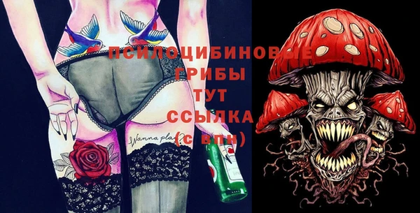 COCAINE Няндома